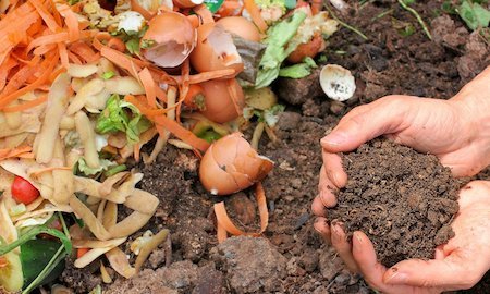 Compost Sample Analysis